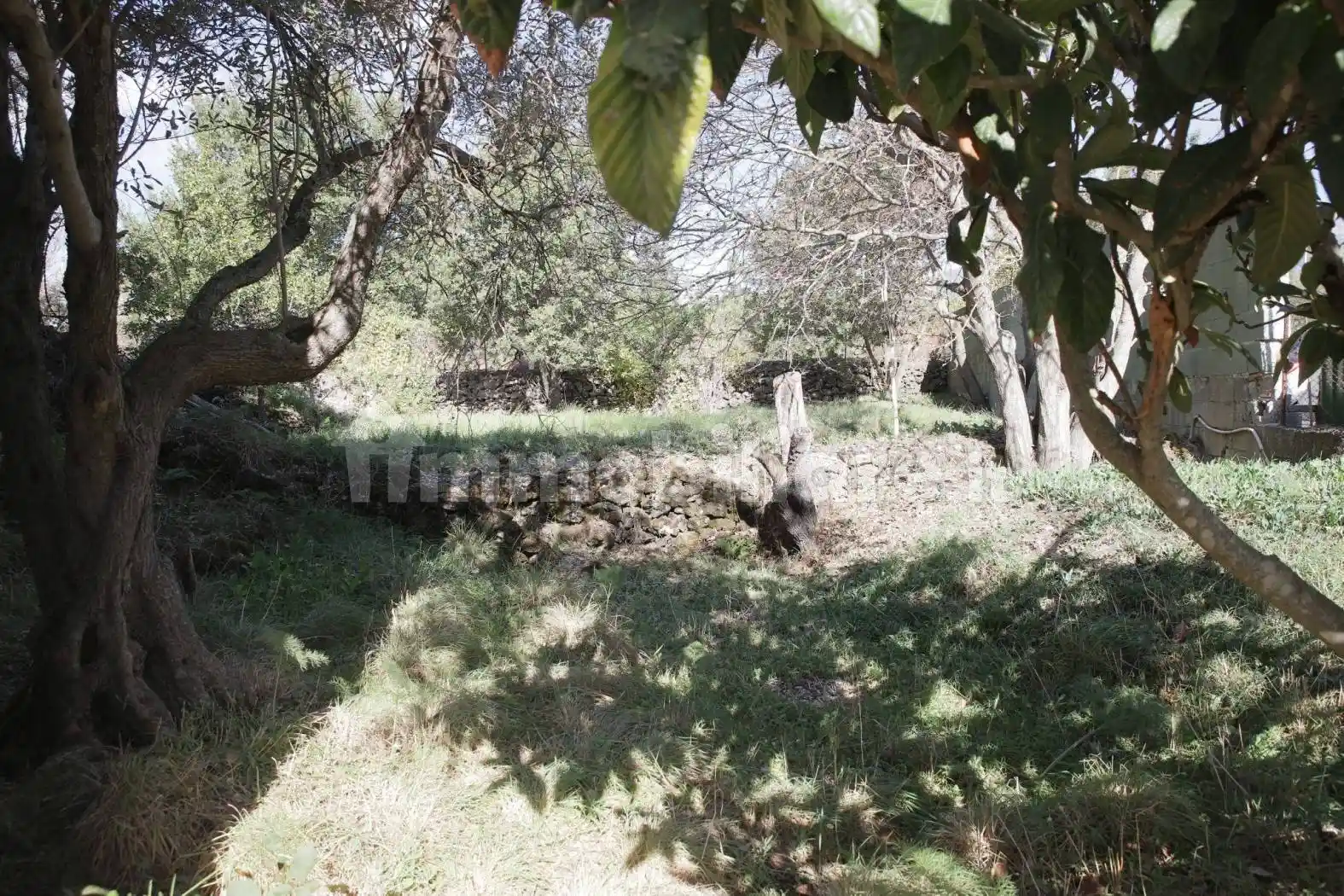 Villa in vendita a Belpasso