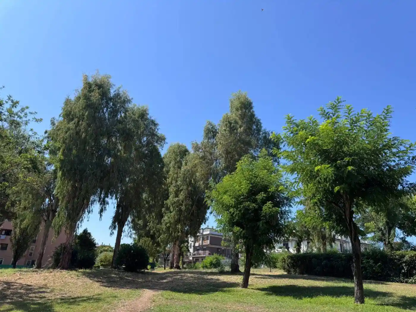 Trilocale via Braque 22, Torre Gaia, Roma - foto 2