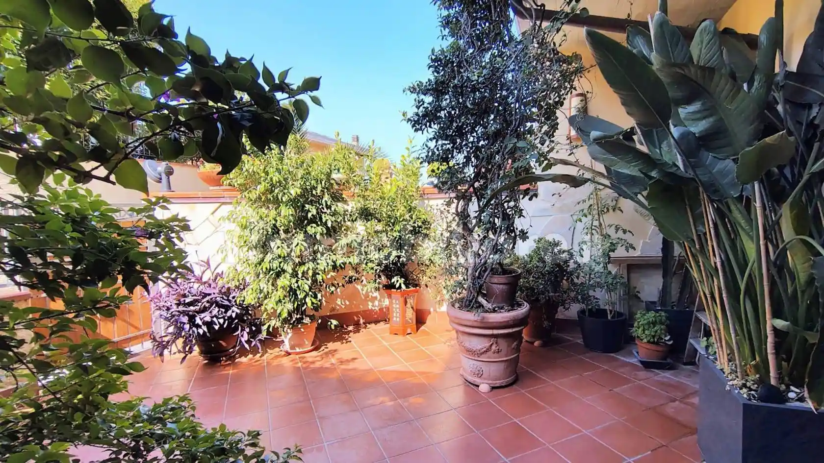 Appartamento in vendita a Carrara