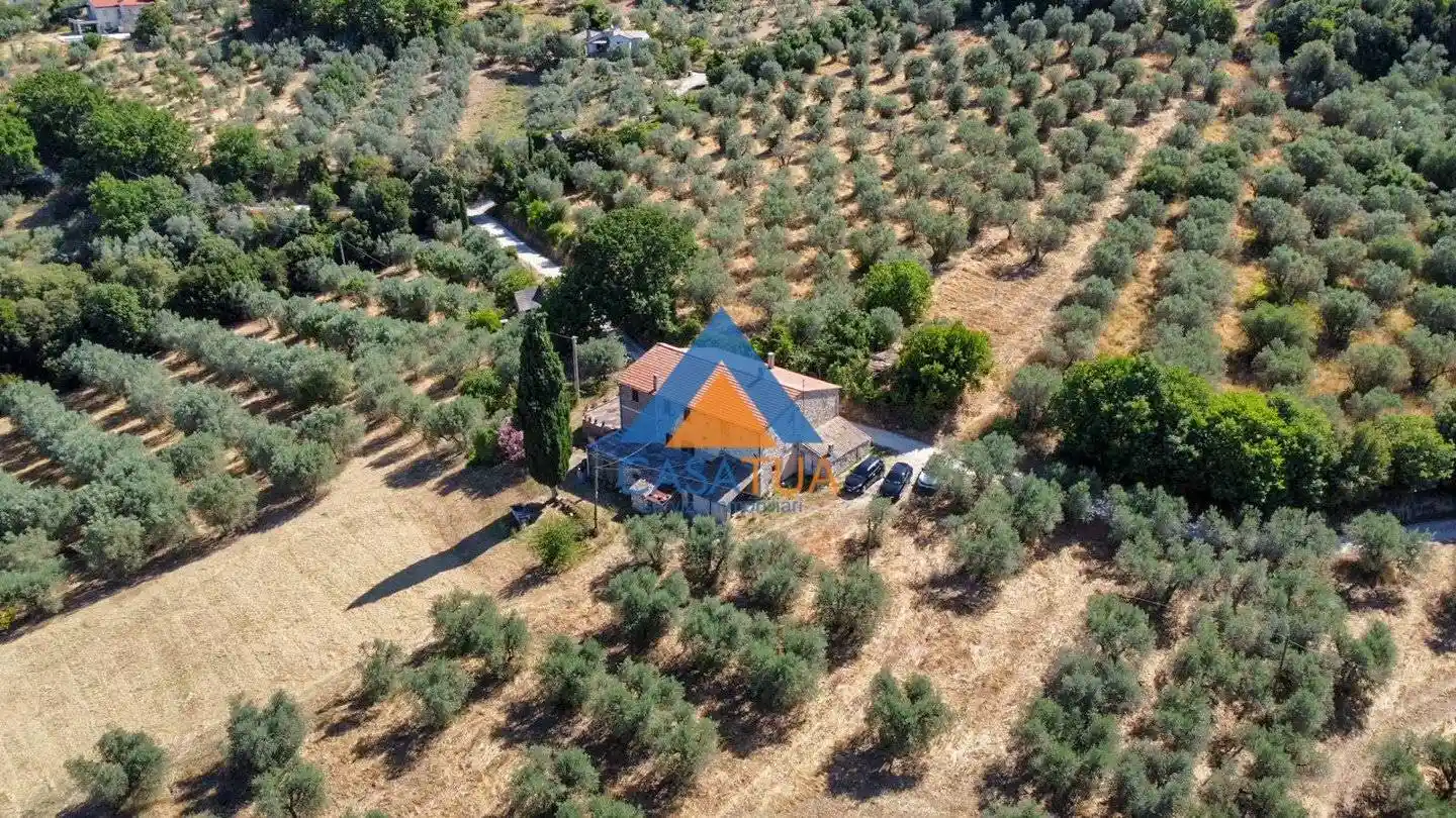 Rustico - Casale - foto 5