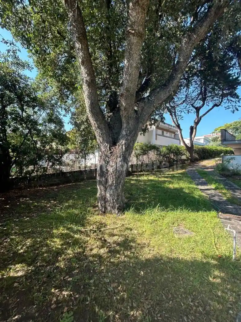 Villa bifamiliare viale delle Pratoline 73, Villaggio Giornalisti - Poggio, Anzio - foto 4