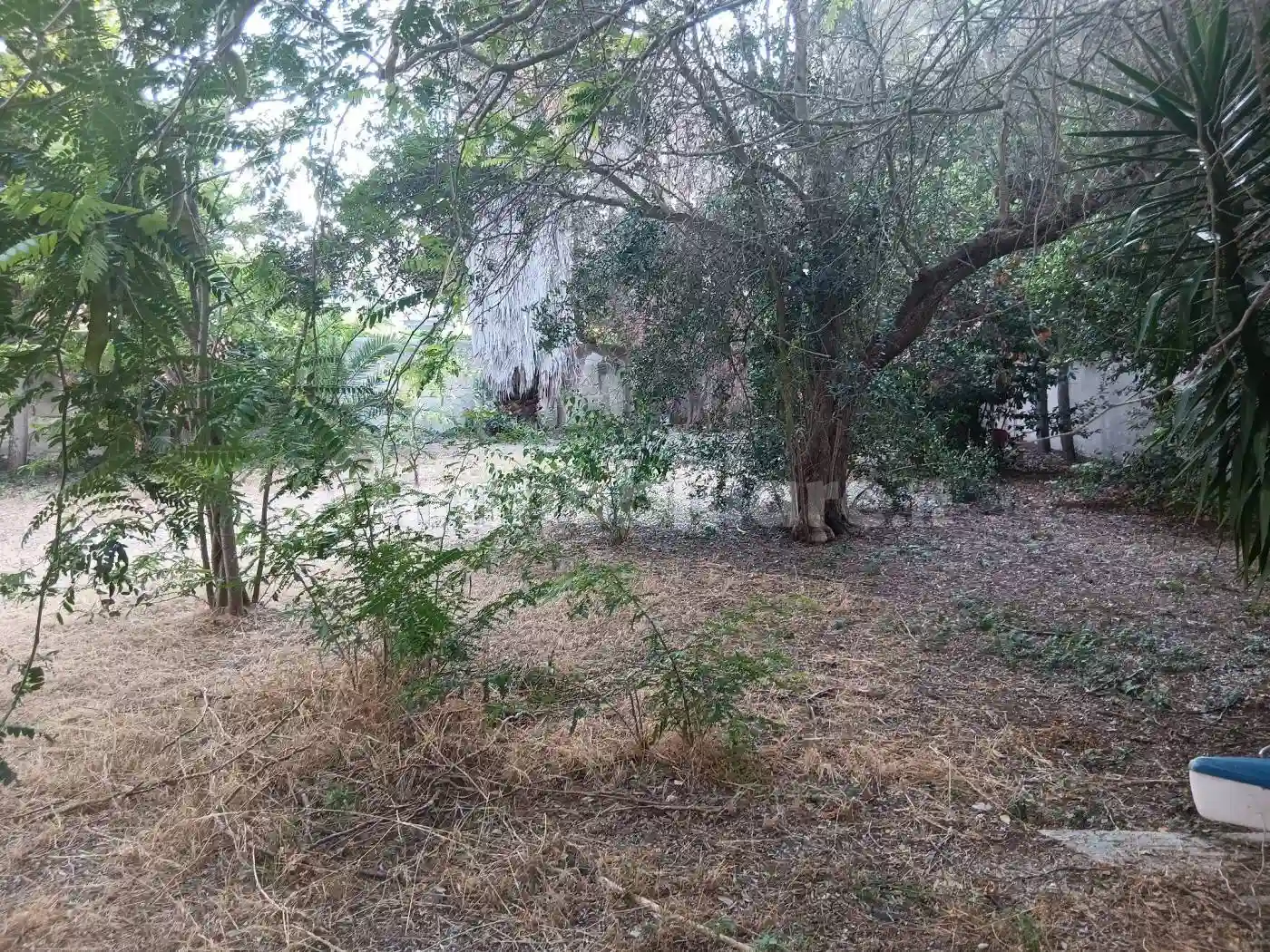 Villa unifamiliare via Dubrovnik 1, San Cataldo, Lecce - foto 4