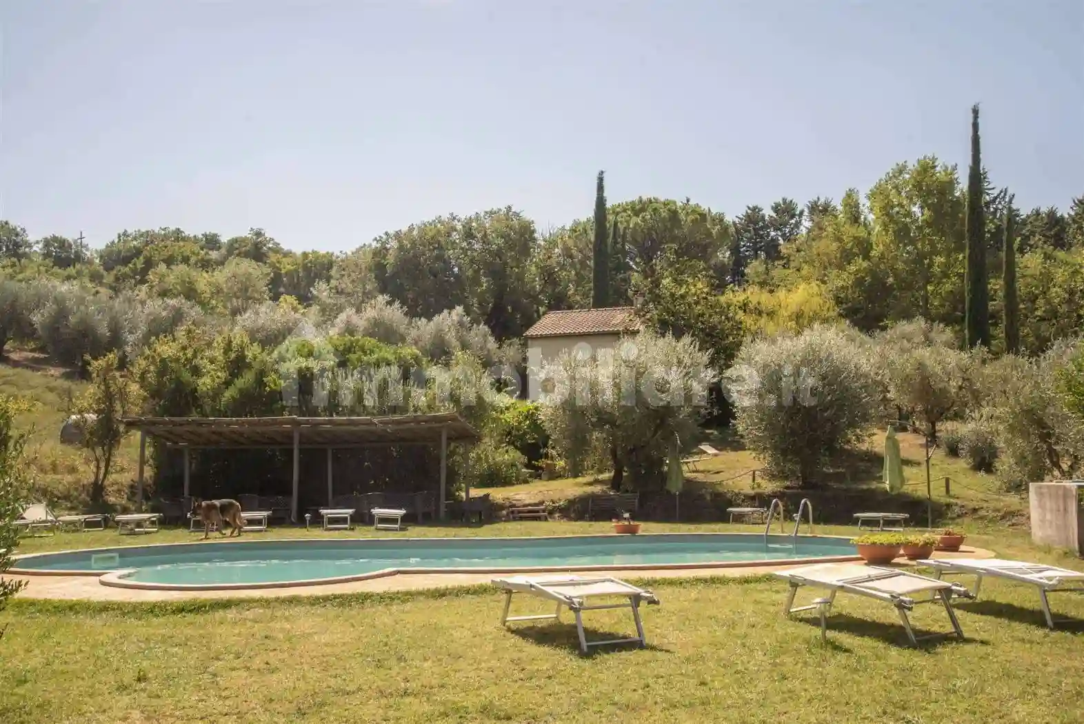 Rustico - Casale - foto 3