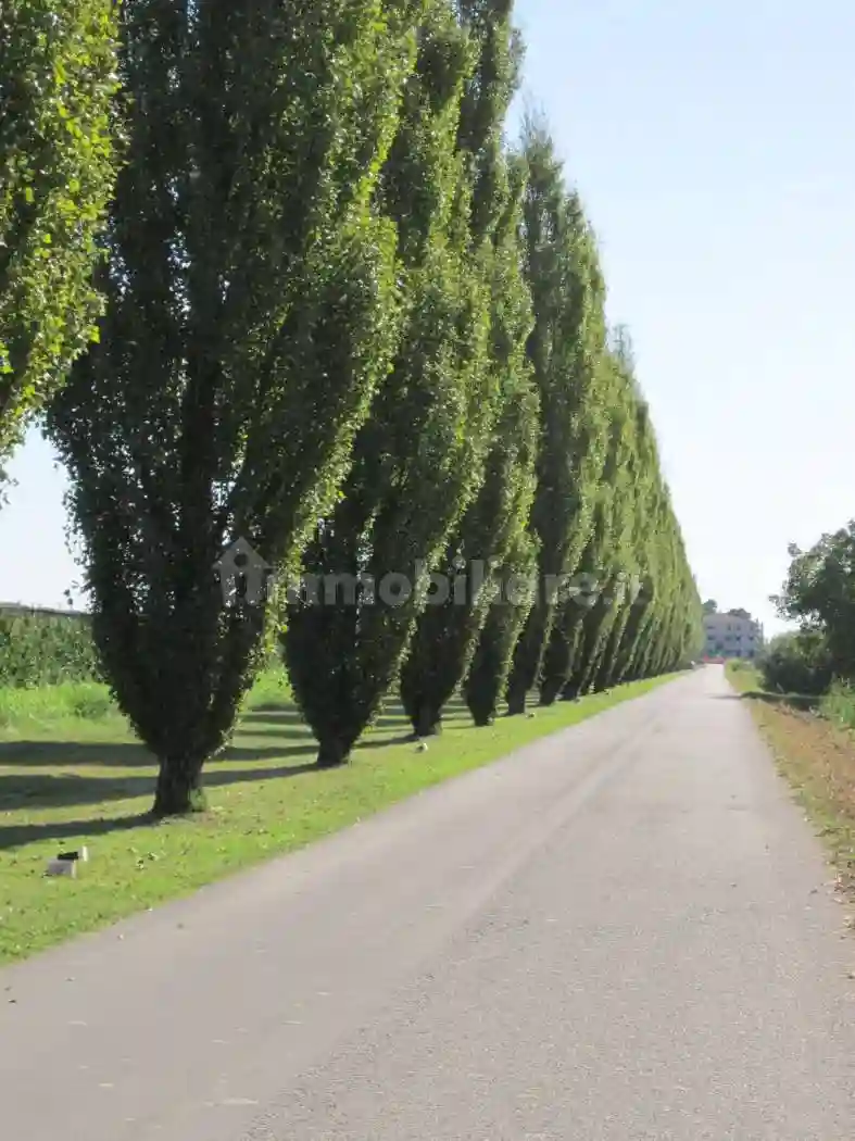Quadrilocale via Moneta 3, Centro, Belfiore - foto 4