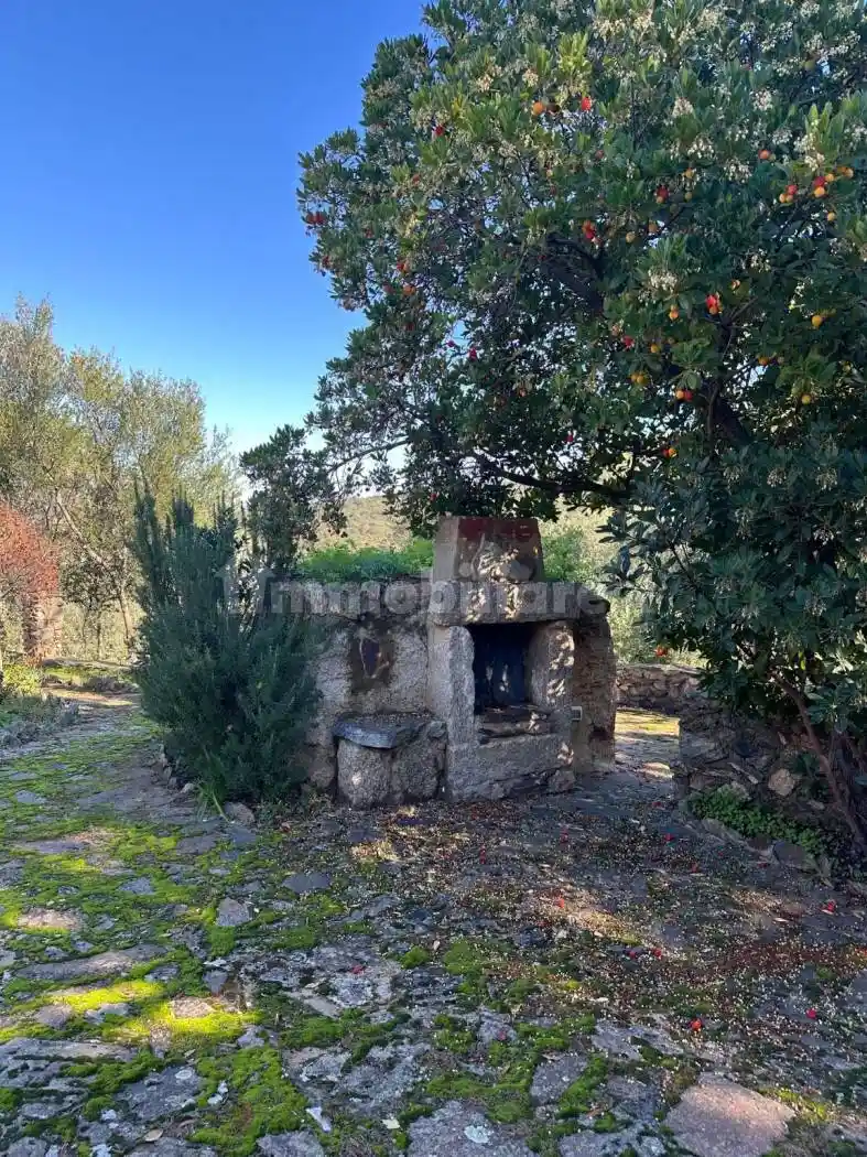 Villa unifamiliare via Plebi, Santa Lucia, Olbia - foto 5