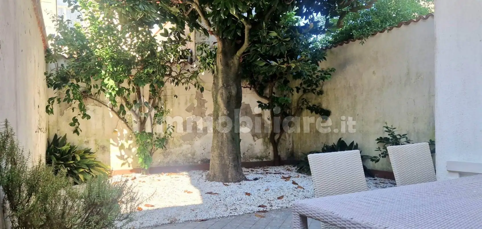 Appartamento in affitto a Viareggio