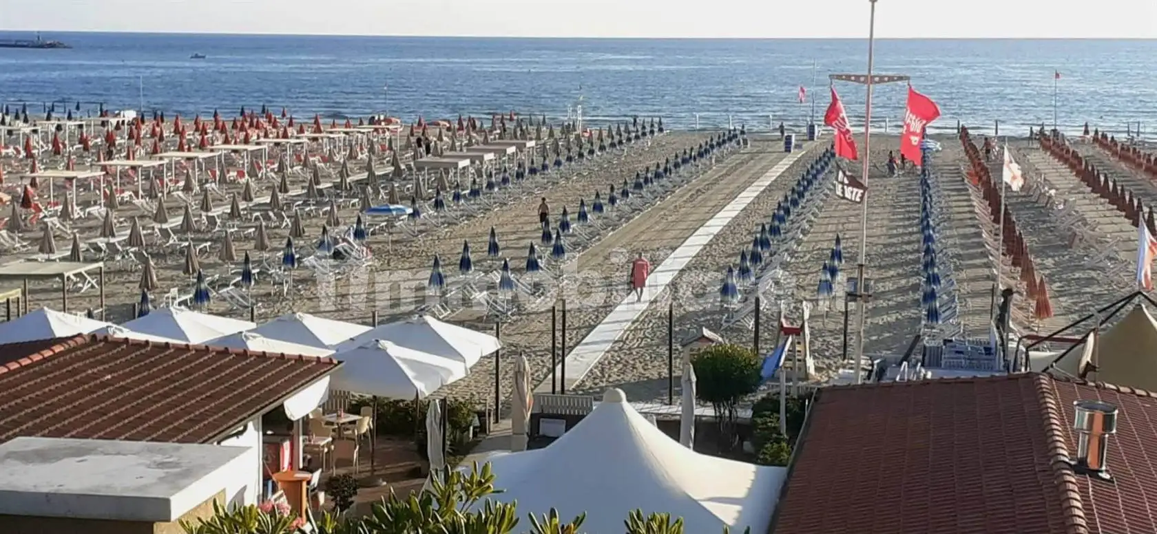 Appartamento in affitto a Viareggio