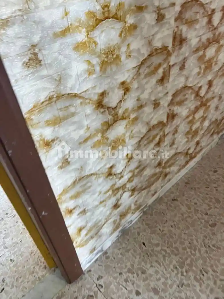 Trilocale via Stazione, Centro, Briatico - foto 3