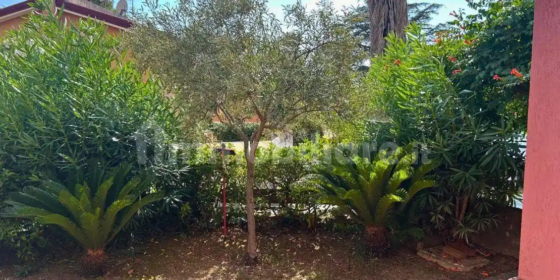 Villa bifamiliare Contrada Piano delle Donne, Centro, Belvedere Marittimo - foto 2