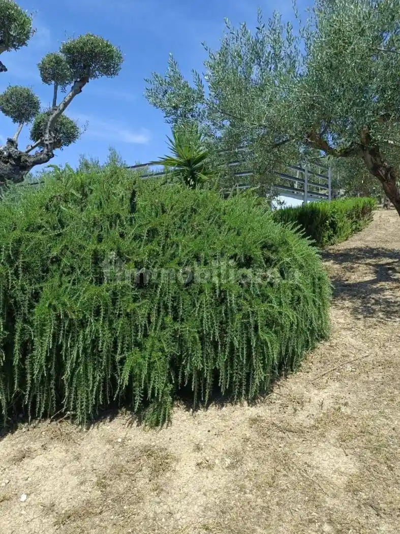 Palazzo - Edificio in Vendita - foto 4