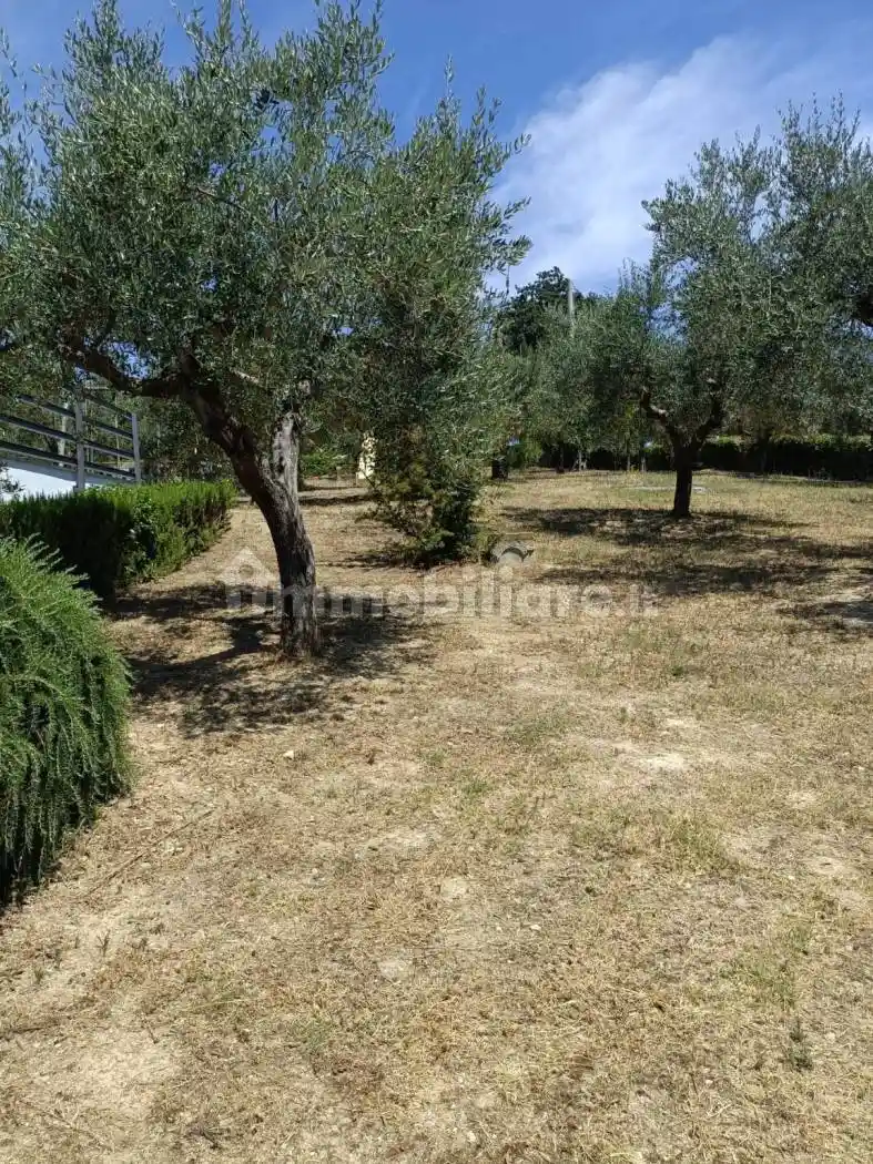 Palazzo - Edificio in Vendita - foto 5