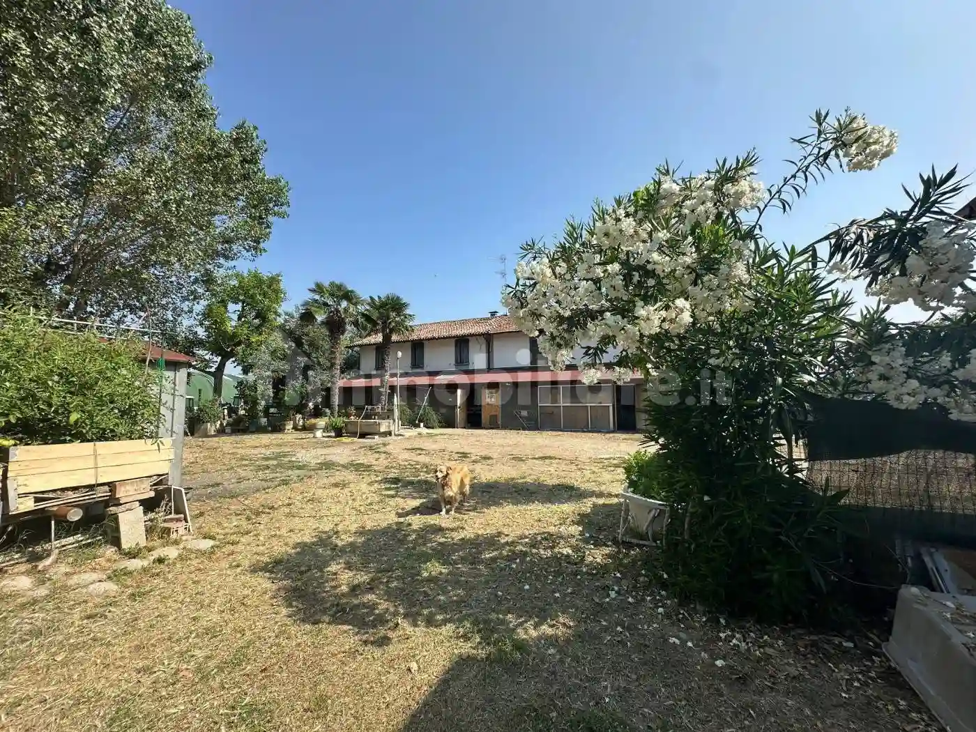 Rustico - Casale - foto 3