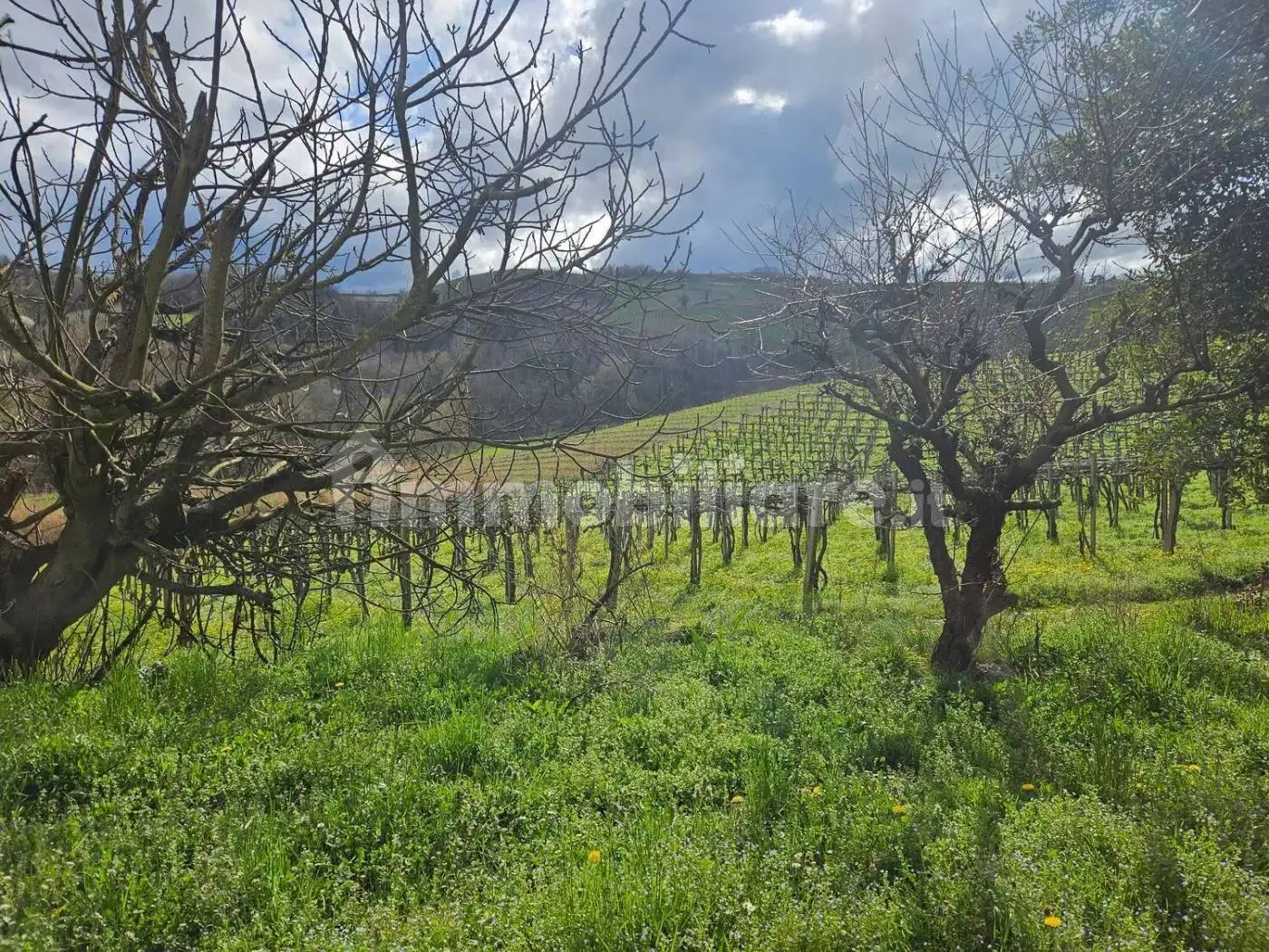 Cascina, buono stato, 290 m², Alice Bel Colle - foto 3