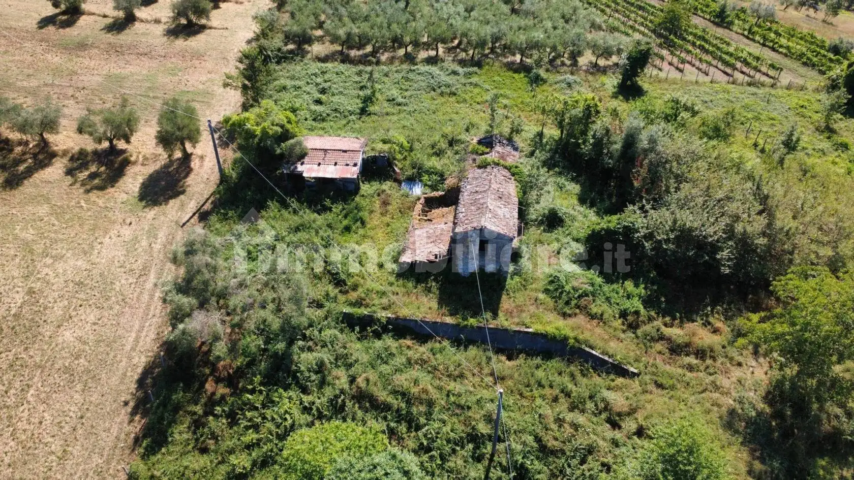 Cascina via Farneto, Castelliri - foto 3