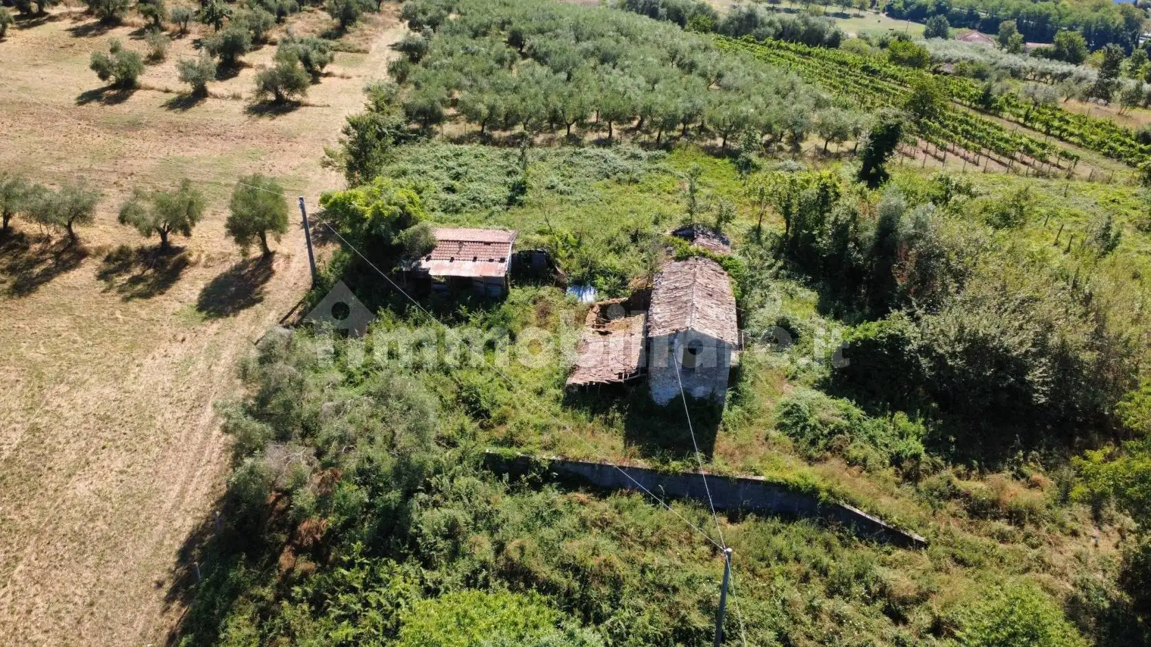 Cascina via Farneto, Castelliri - foto 4