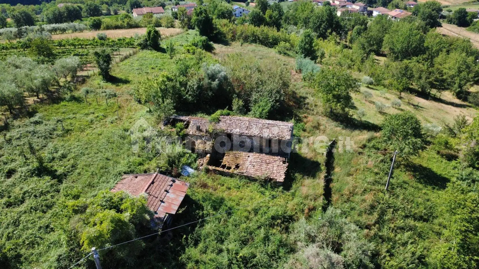 Cascina via Farneto, Castelliri - foto 5