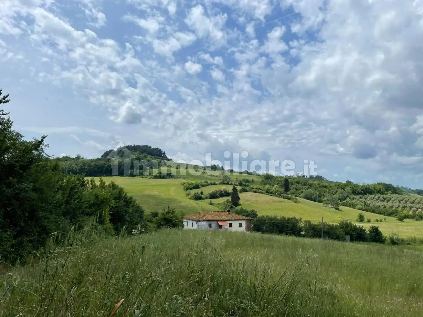 Rustico - Casale in vendita a San Miniato