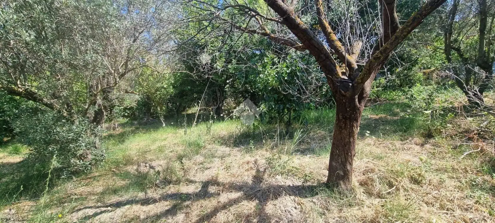 Villa unifamiliare via Fausto Gullo 56, Borgia - foto 2