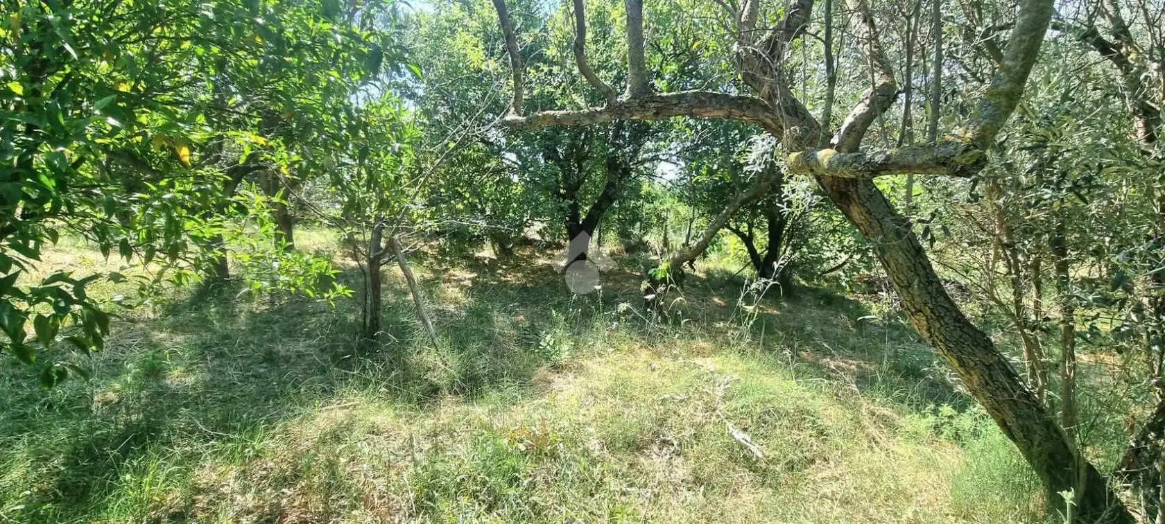 Villa unifamiliare via Fausto Gullo 56, Borgia - foto 5