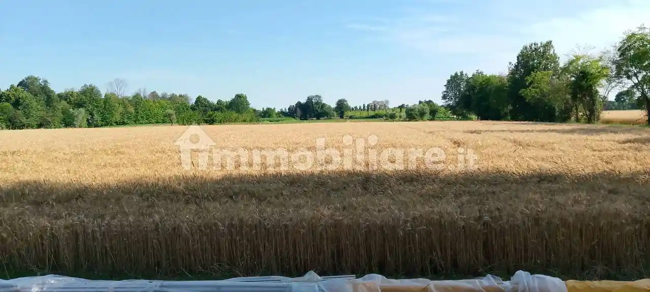 Terratetto unifamiliare via dei Tigli, Cappella, Scorzè - foto 5