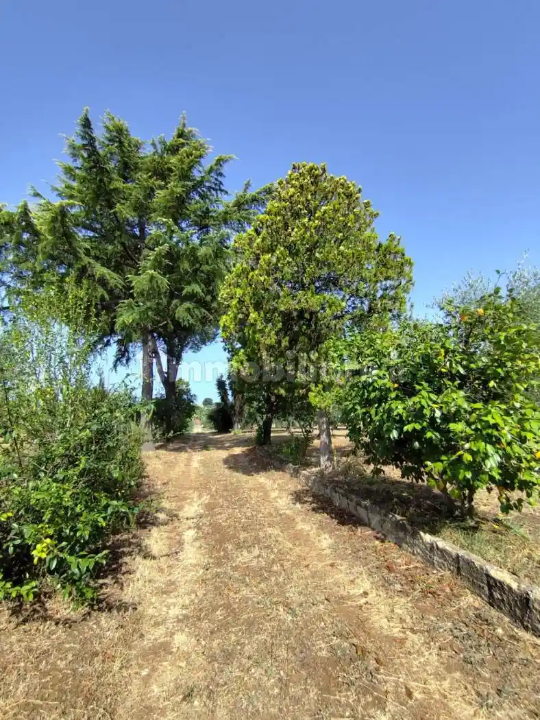 Villa in vendita a Velletri