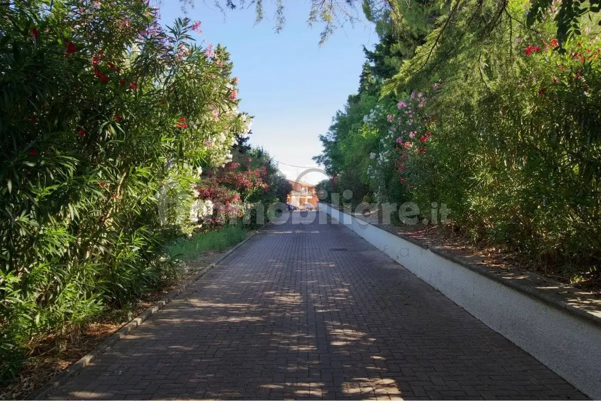 Appartamento in vendita a Montiano