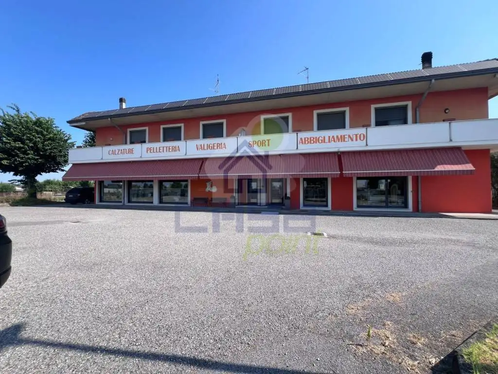 Palazzo - Edificio in vendita a Milzano