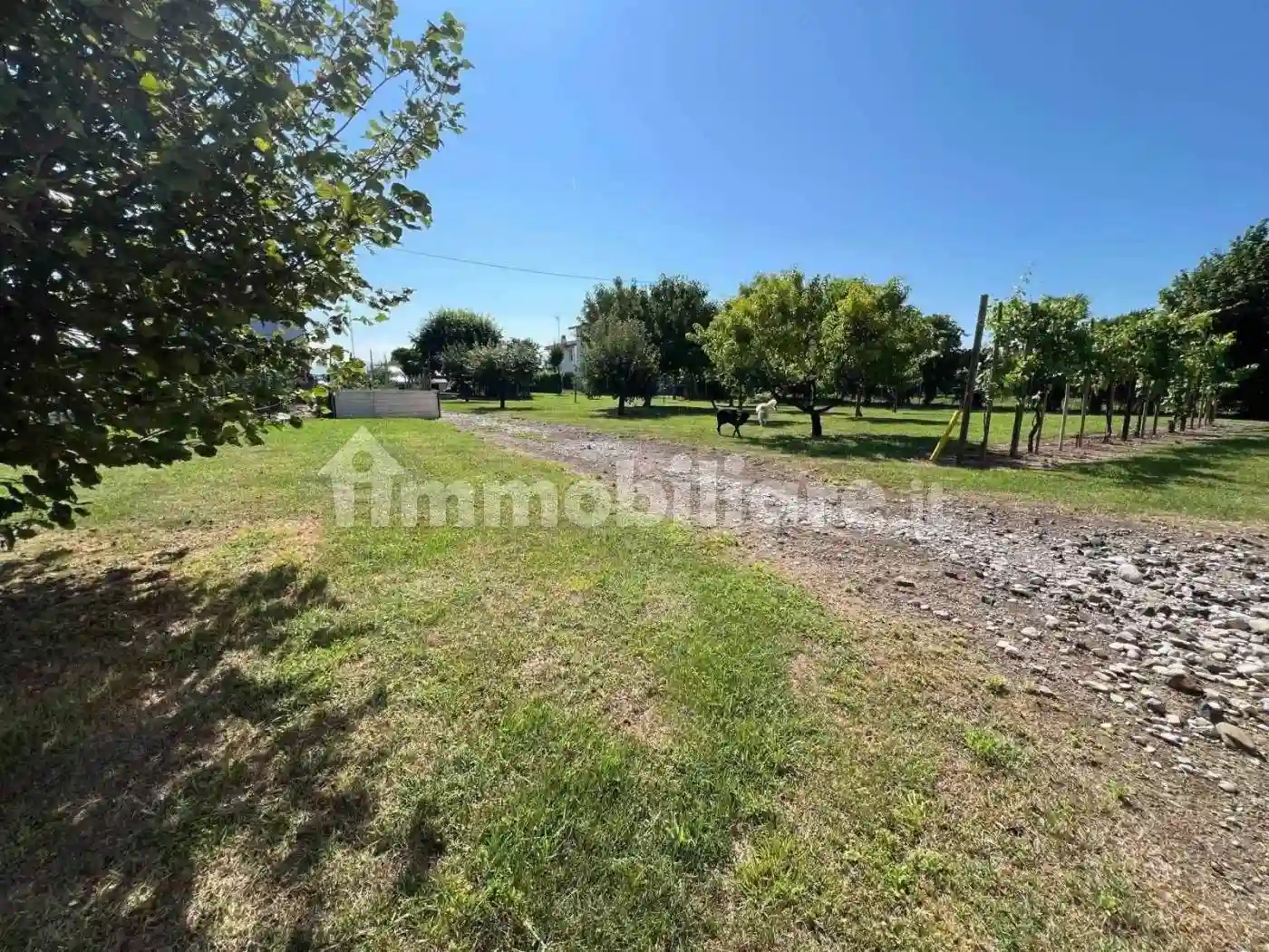 Casa indipendente - foto 4