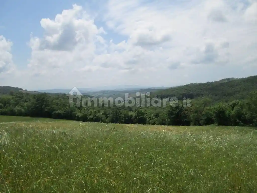 Rustico - Casale in vendita a Scansano