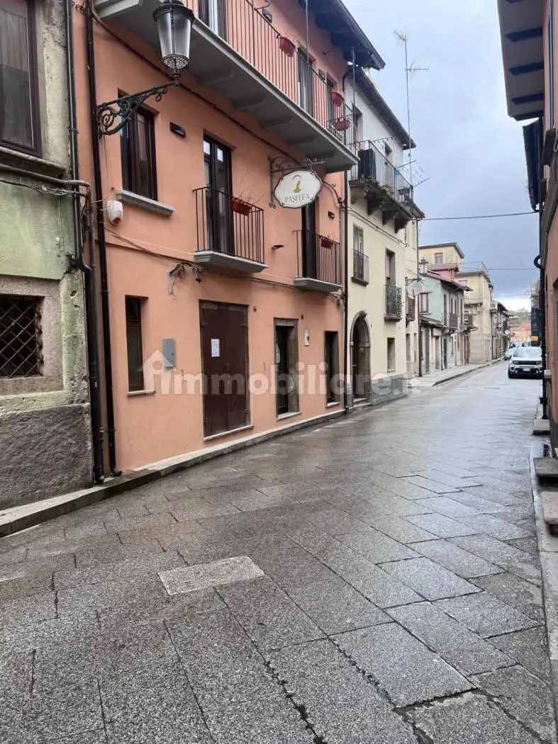 Casa indipendente in vendita a Serra San Bruno