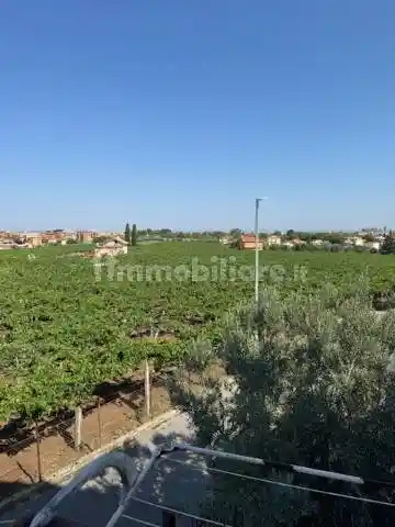 Trilocale via Pavigliana 9, Morena, Roma - foto 2