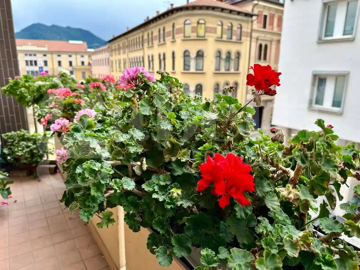 Appartamento in vendita a Schio