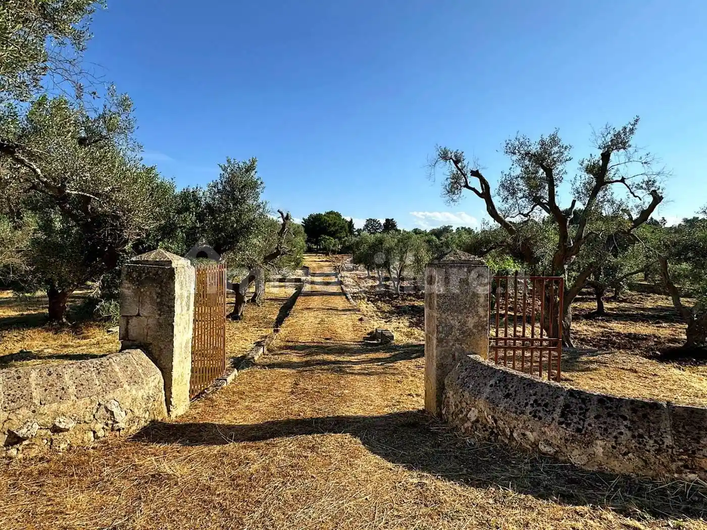 Rustico - Casale in vendita a Carovigno