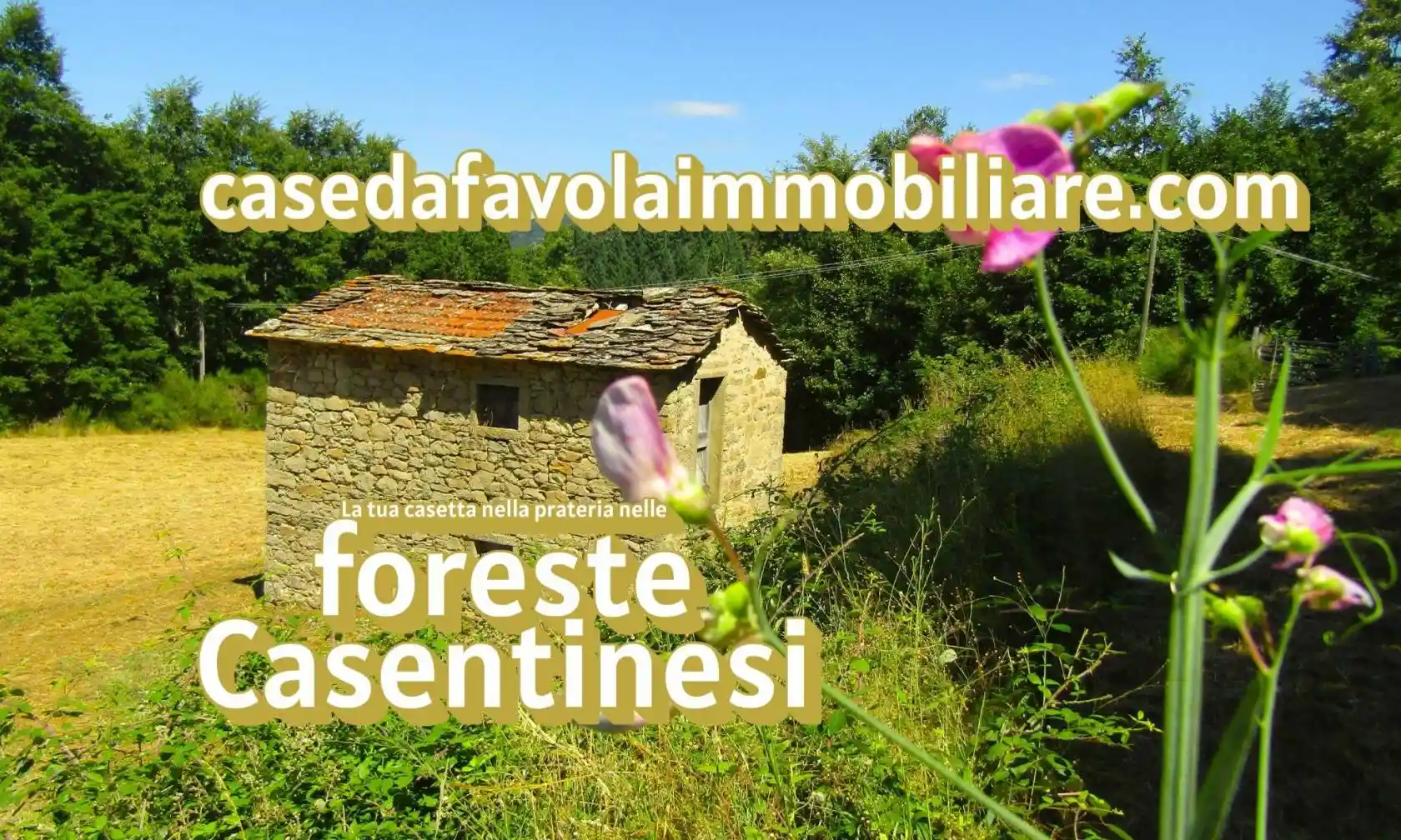 Rustico - Casale in vendita a Pratovecchio e Stia