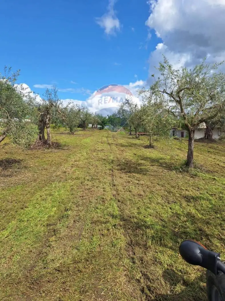 Villa unifamiliare via Monticelli Snc, Squille, Castel Campagnano - foto 2