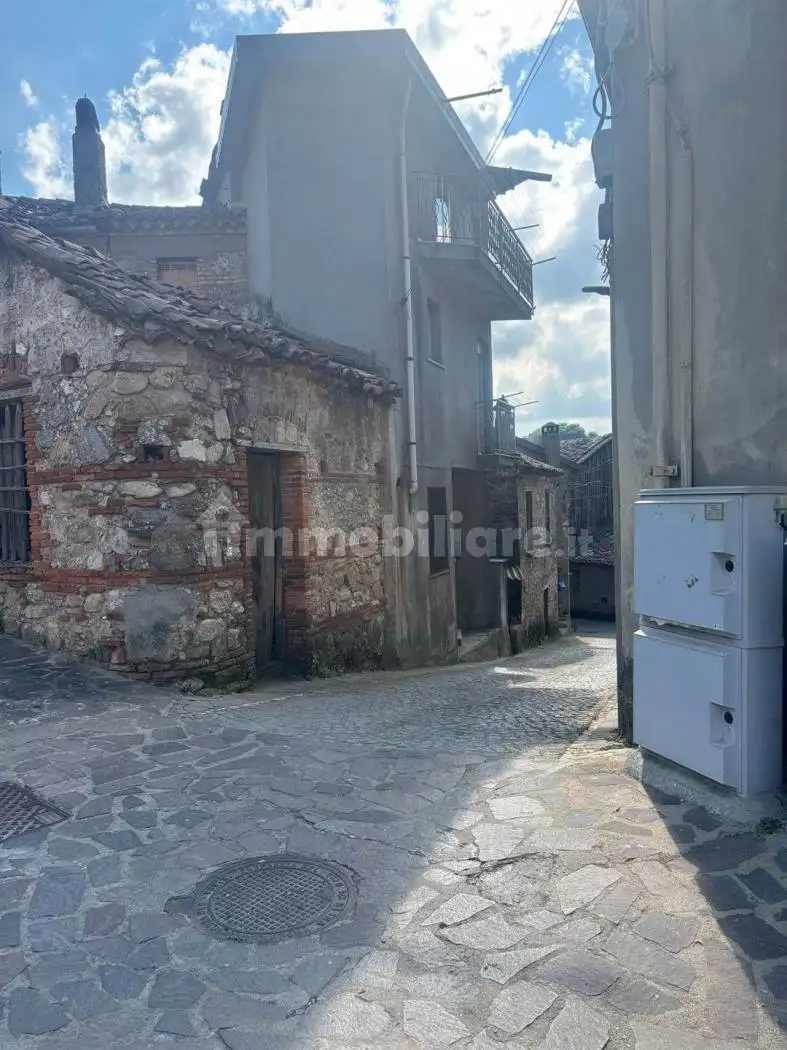 Casa indipendente in vendita a Brognaturo