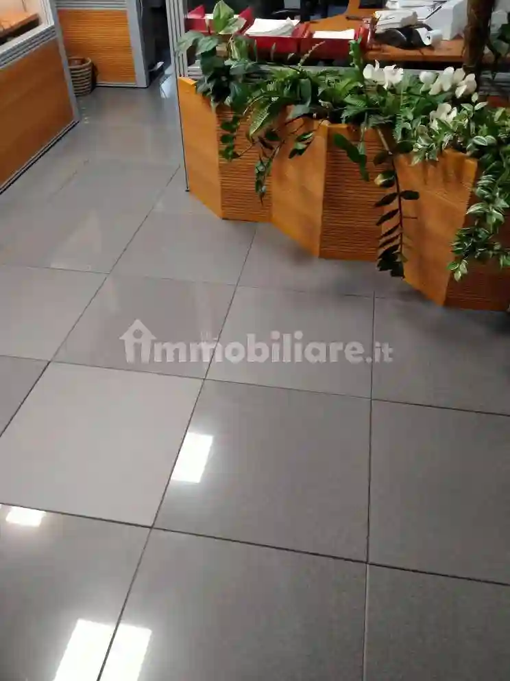 Palazzo - Edificio - foto 5