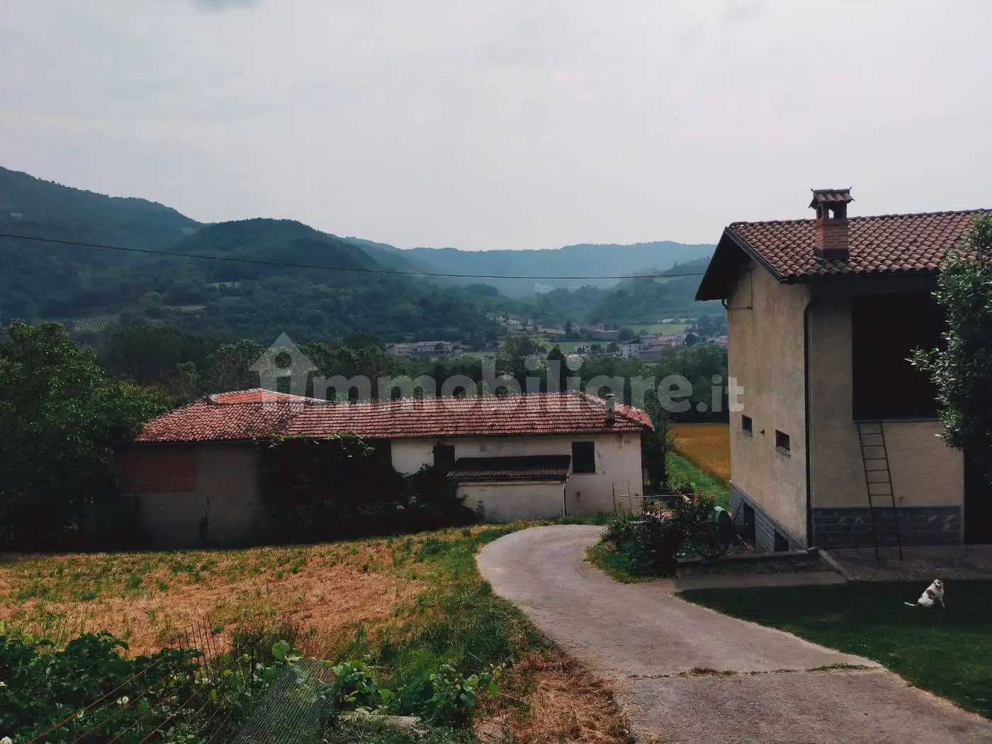 Rustico - Casale in vendita a Saliceto