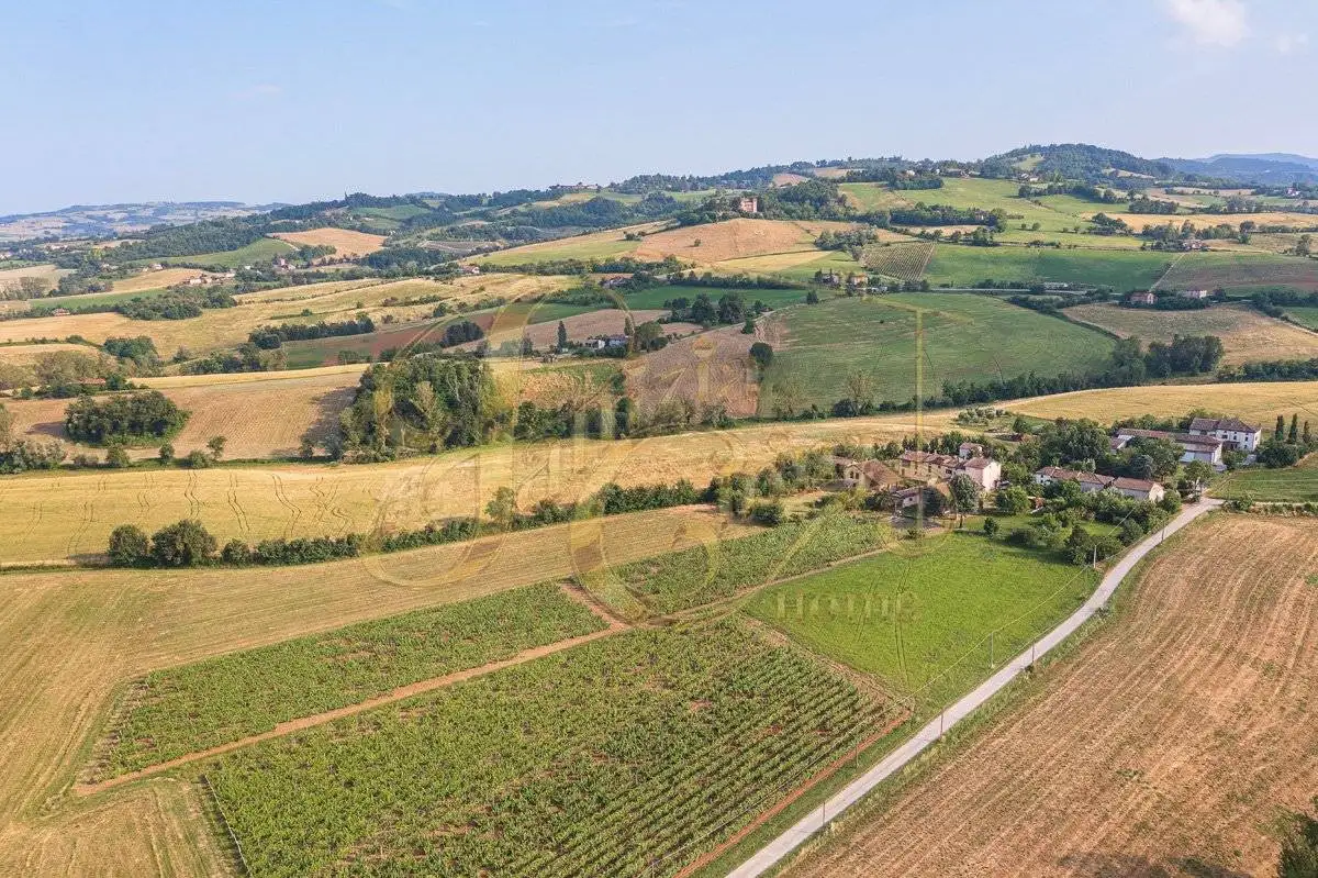 Sasso Strada Merline, Agazzano - foto 5