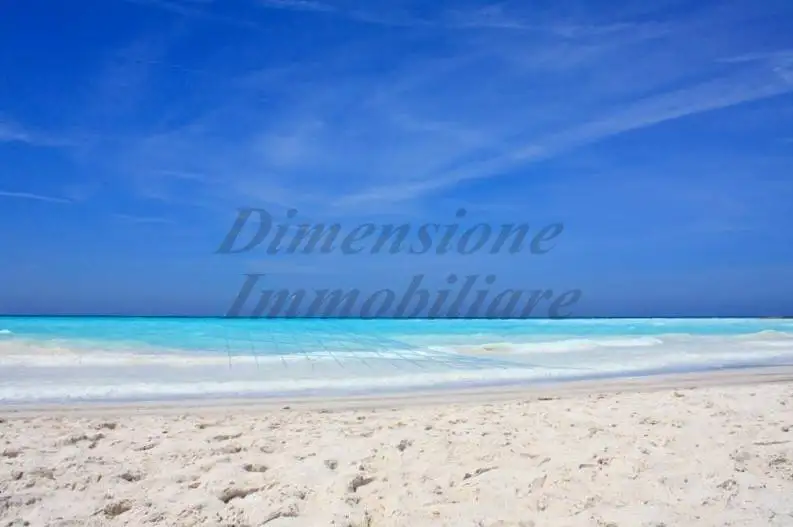 Appartamento in affitto a Rosignano Marittimo