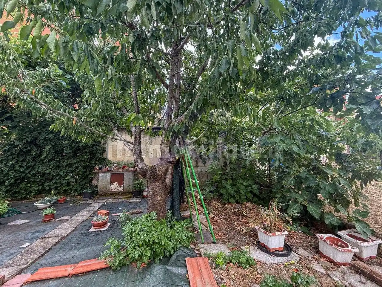 Appartamento Località Ceciliano, Ceciliano, Arezzo - foto 3