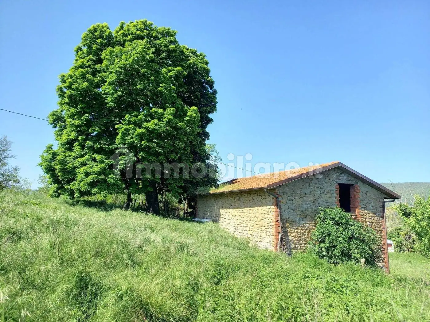 Casa colonica via Sillaro, Sassoleone, Casalfiumanese - foto 2