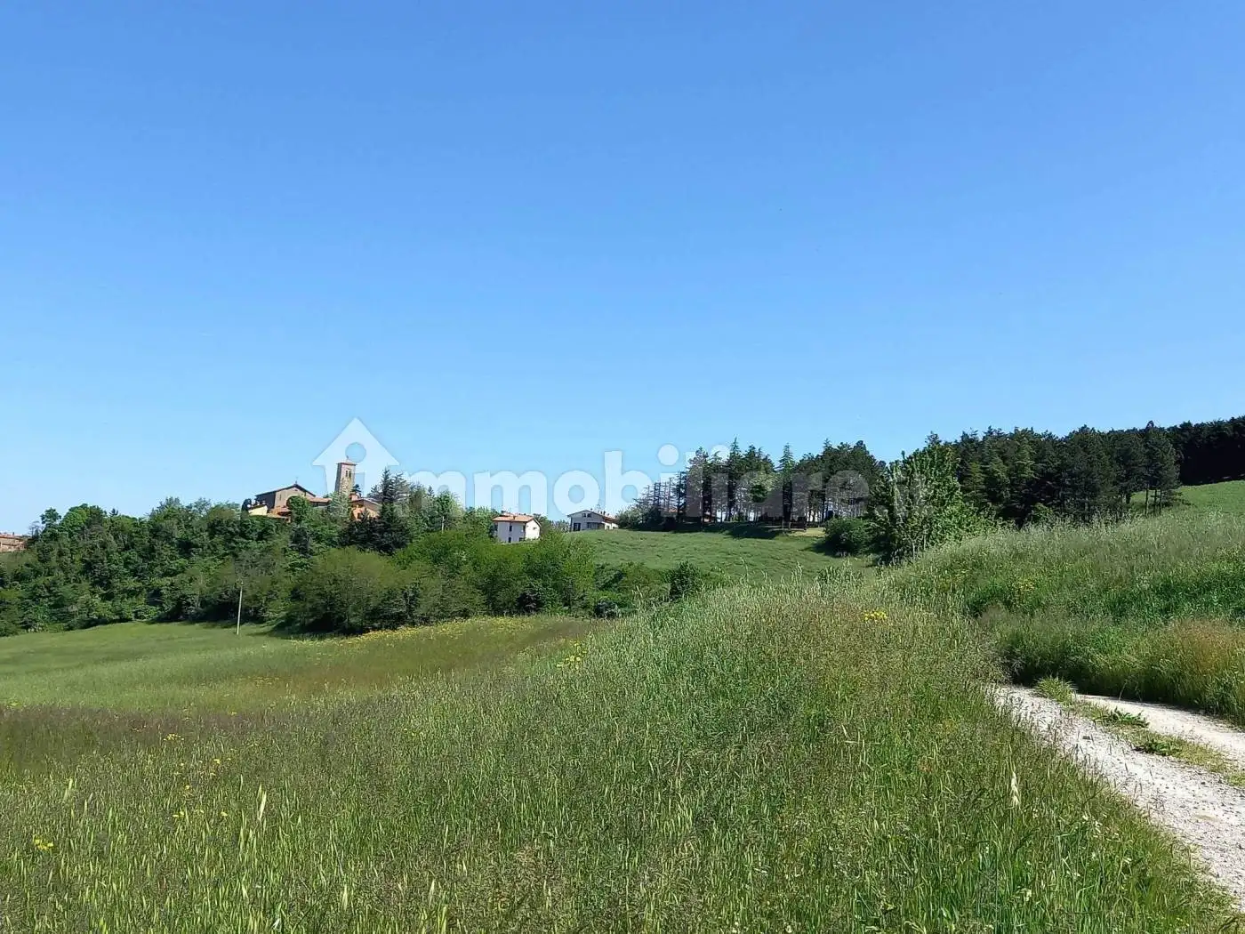 Casa colonica via Sillaro, Sassoleone, Casalfiumanese - foto 3