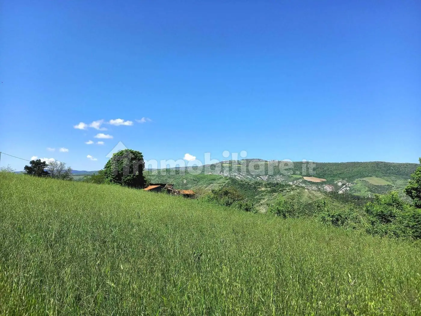 Casa colonica via Sillaro, Sassoleone, Casalfiumanese - foto 4