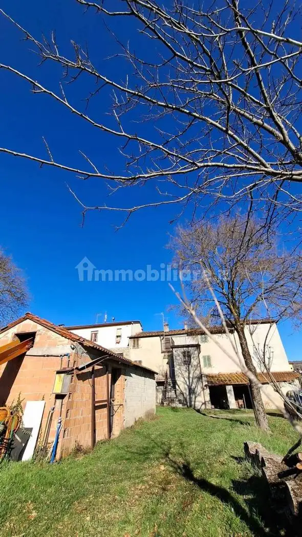 Rustico - Casale in vendita a Castel Focognano