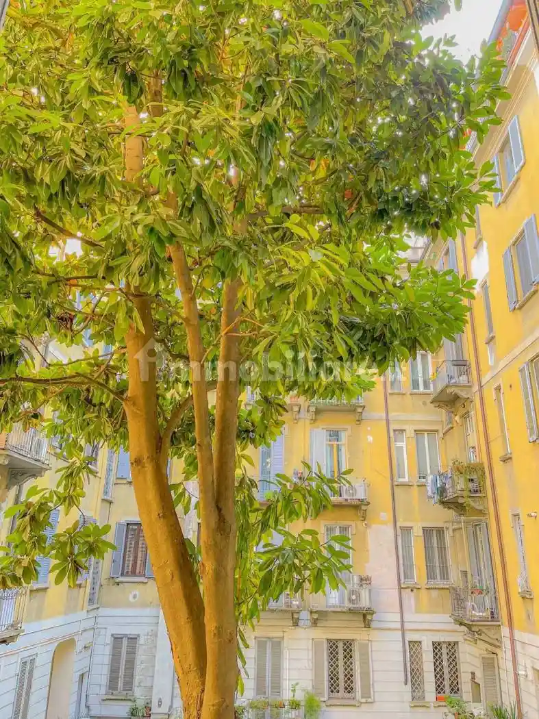 Trilocale via Vitruvio, 39, Buenos Aires, Milano - foto 4