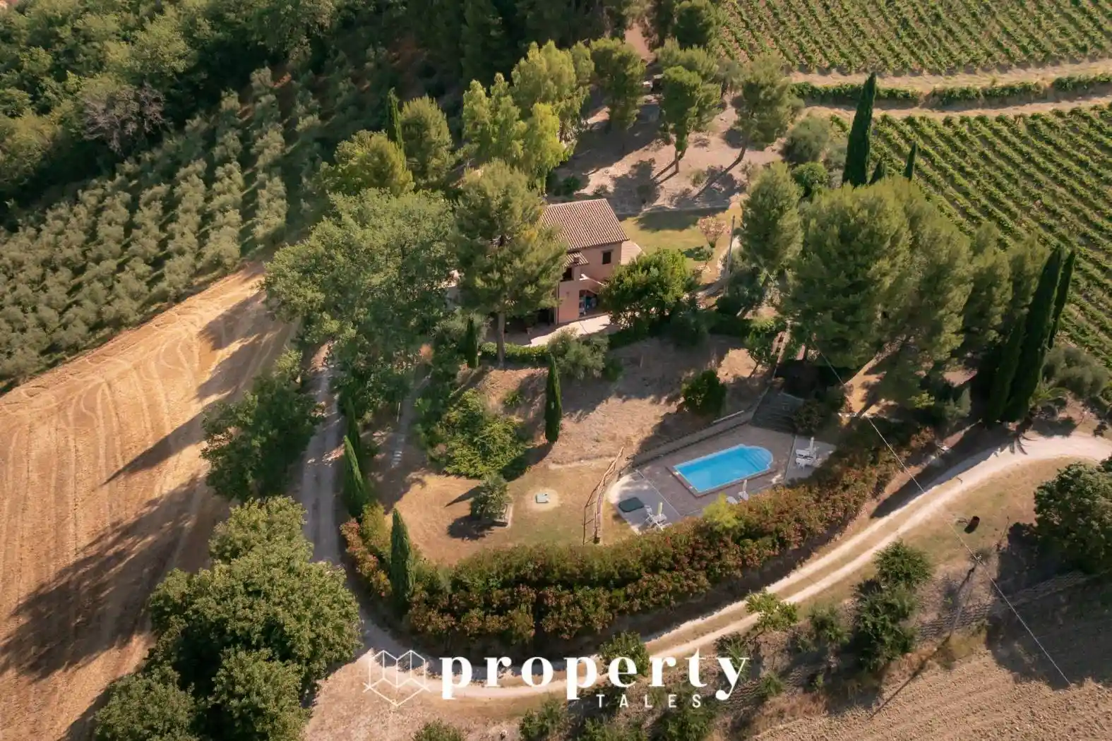 Rustico Contrada Gallo 16, Cossignano - foto 4