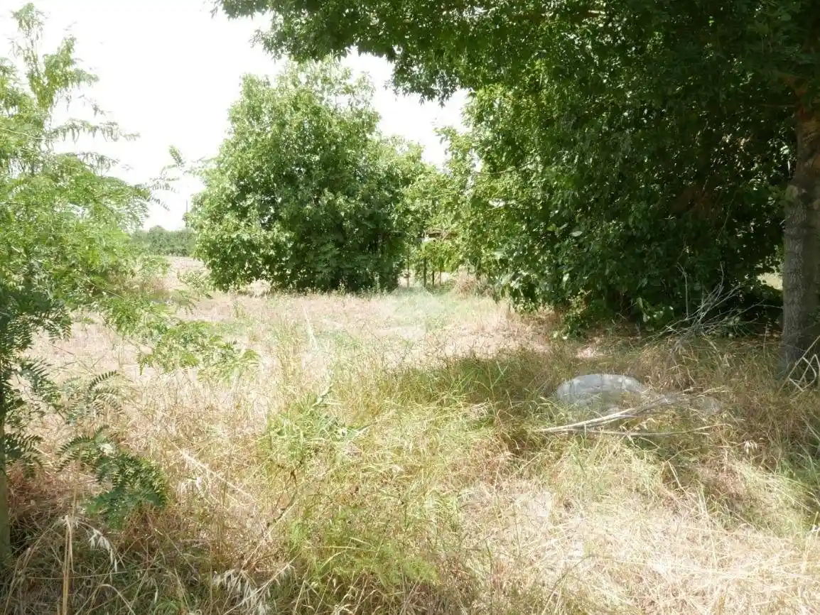 Rustico via Armelino 25, Pievequinta, Forlì - foto 2