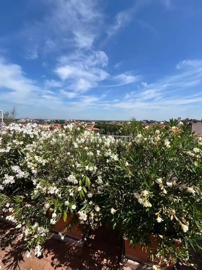 Attico - Mansarda - foto 5