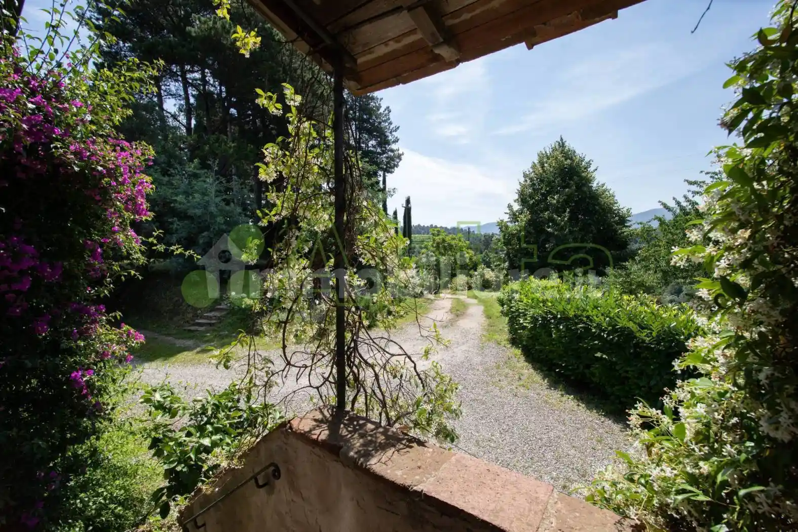 Rustico via di Vicopelago, Massa Pisana - Vicopelago, Lucca - foto 3